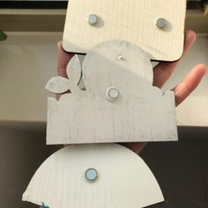 conch shell fridge magnets