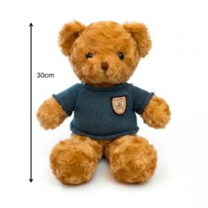 teddy bear plush toy
